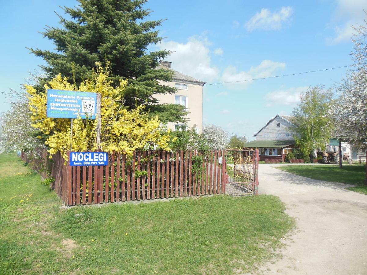 Willa Niezapominajka Jenki Zewnętrze zdjęcie